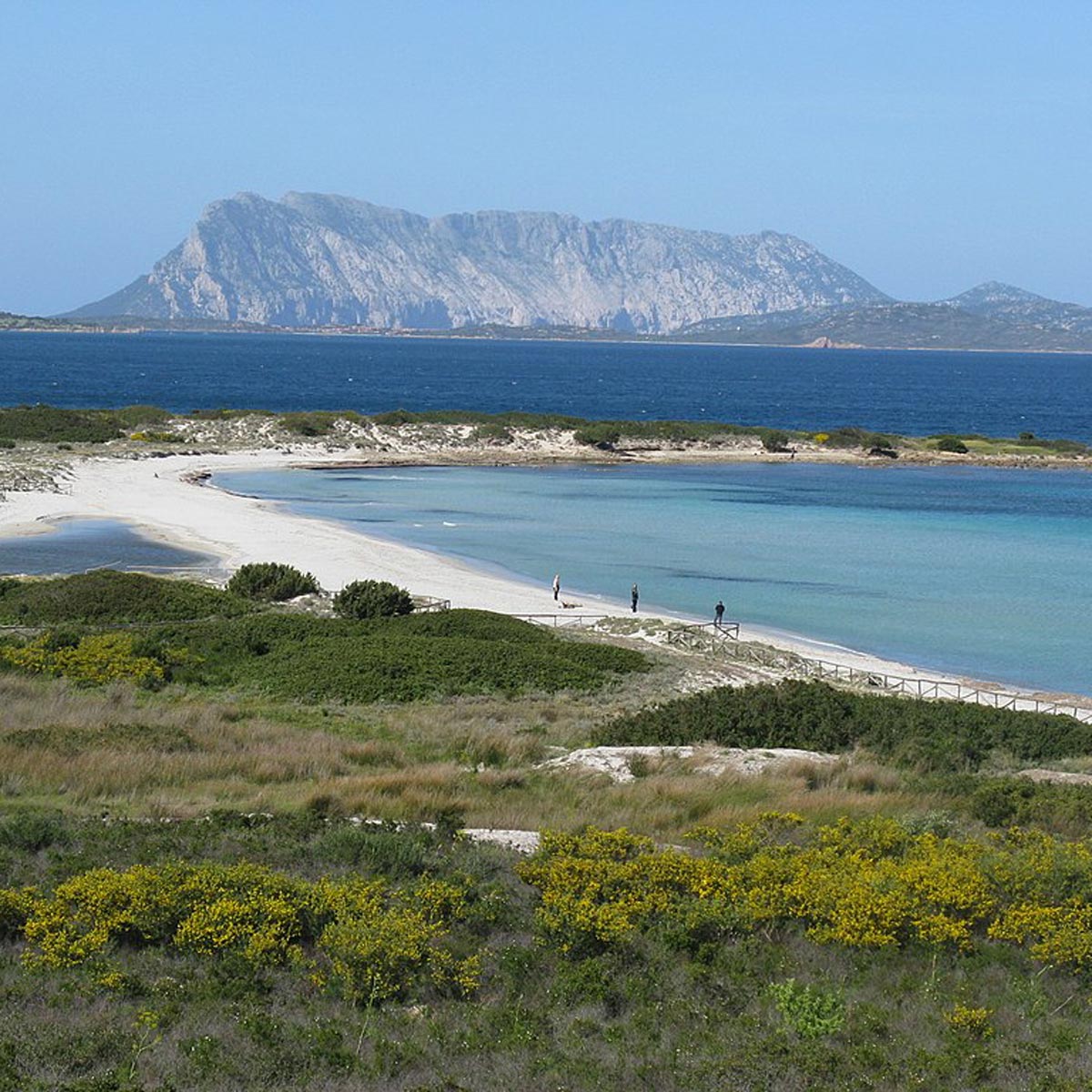 Area Marina protetta di Tavolara